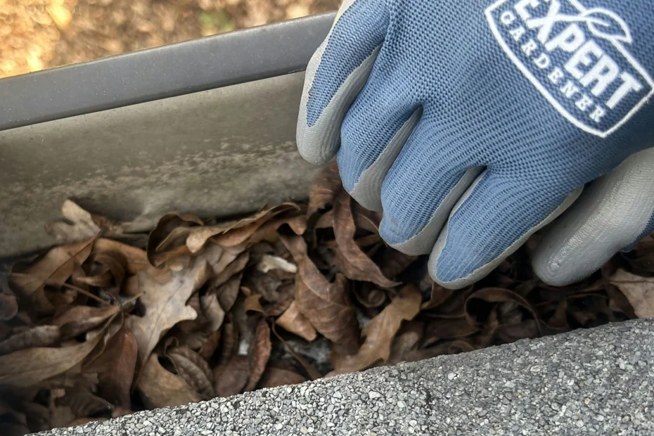 Gutter Cleaning Paris