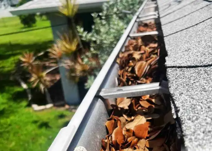 Gutter Cleaning Paris home page